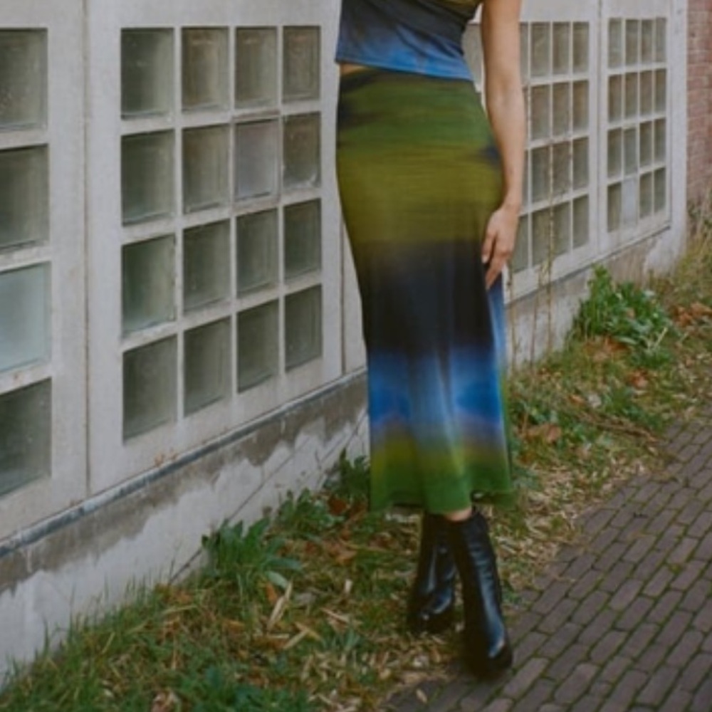 Zara printed tulle maxi skirt